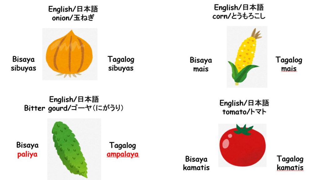 ビサヤ語 野菜単語 玉ねぎ ゴーヤ とうもろこし トマト