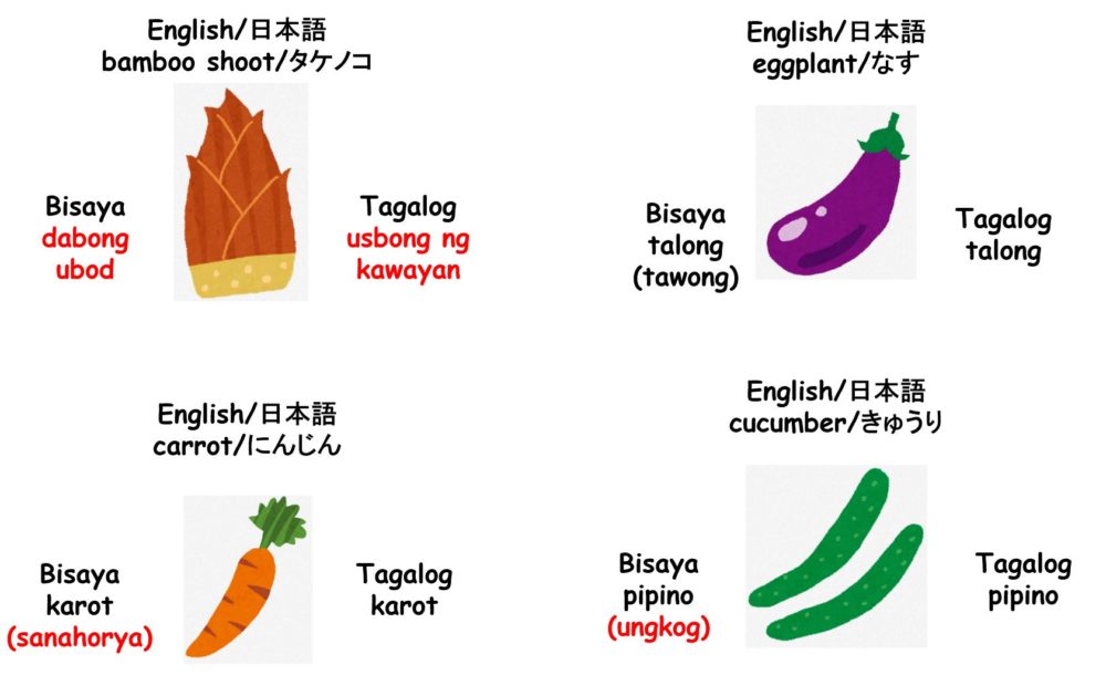 ビサヤ語 野菜単語 タケノコ にんじん ナス きゅうり
