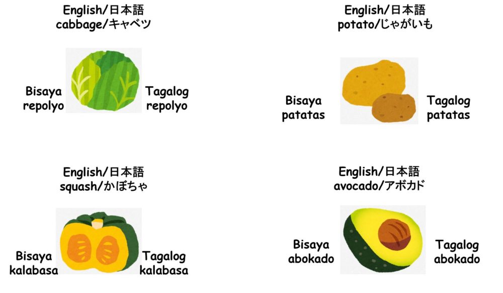 ビサヤ語 野菜単語 キャベツ かぼちゃ じゃがいも アボカド