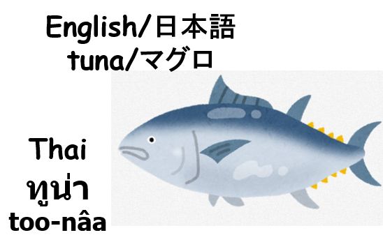 タイ語 イラストで単語学習しよう おさかな エビ カニ うにetc 編 単語分解付き 英 タイ 日本語併記 2nd Life